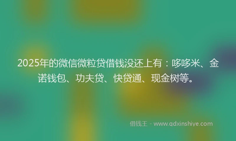 2025年的微信微粒贷借钱没还上有：哆哆米、金诺钱包、功夫贷、快贷通、现金树等。