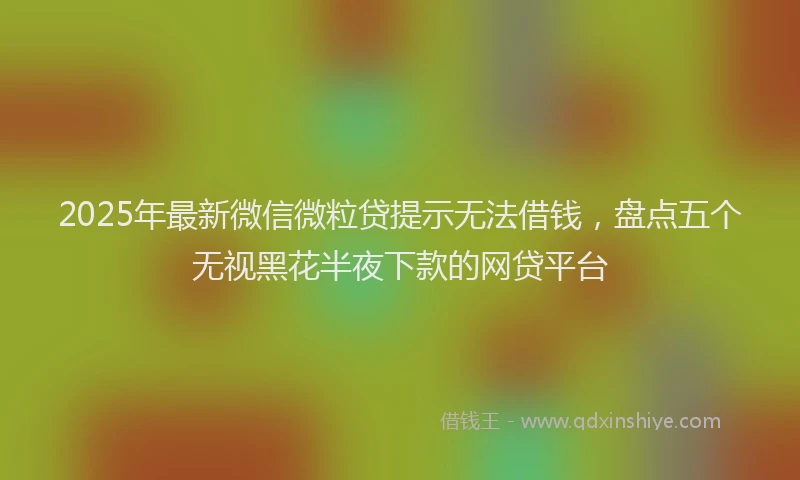 2025年最新微信微粒贷提示无法借钱，盘点五个无视黑花半夜下款的网贷平台