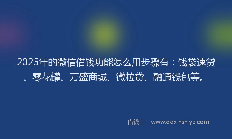 2025年的微信借钱功能怎么用步骤有：钱袋速贷、零花罐、万盛商城、微粒贷、融通钱包等。