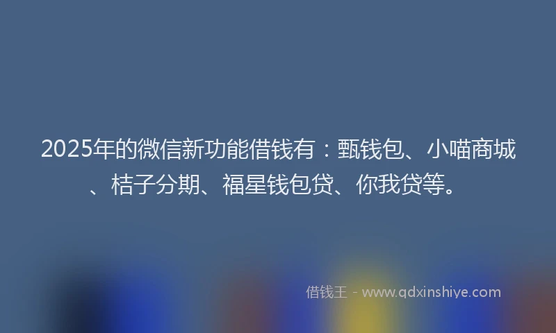 2025年的微信新功能借钱有：甄钱包、小喵商城、桔子分期、福星钱包贷、你我贷等。