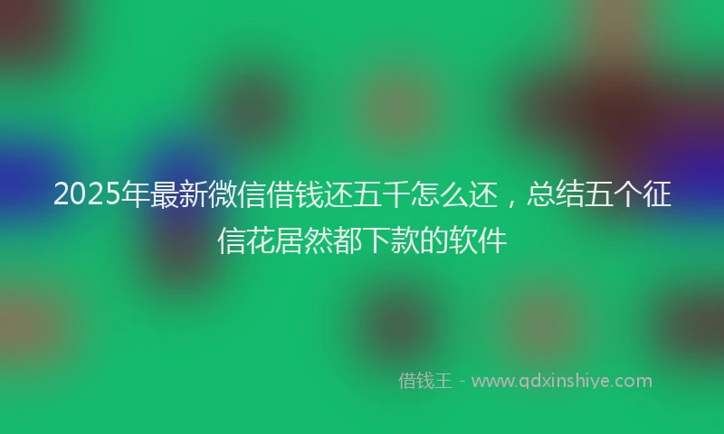 2025年最新微信借钱还五千怎么还，总结五个征信花居然都下款的软件