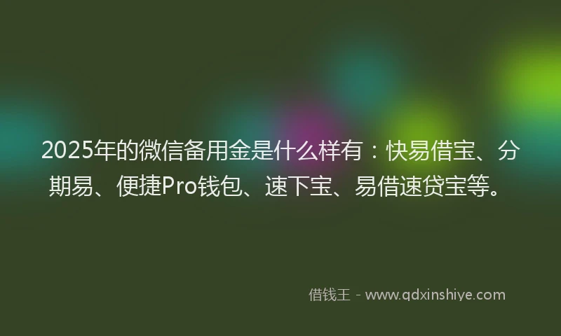 2025年的微信备用金是什么样有：快易借宝、分期易、便捷Pro钱包、速下宝、易借速贷宝等。