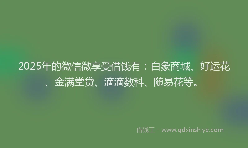 2025年的微信微享受借钱有：白象商城、好运花、金满堂贷、滴滴数科、随易花等。