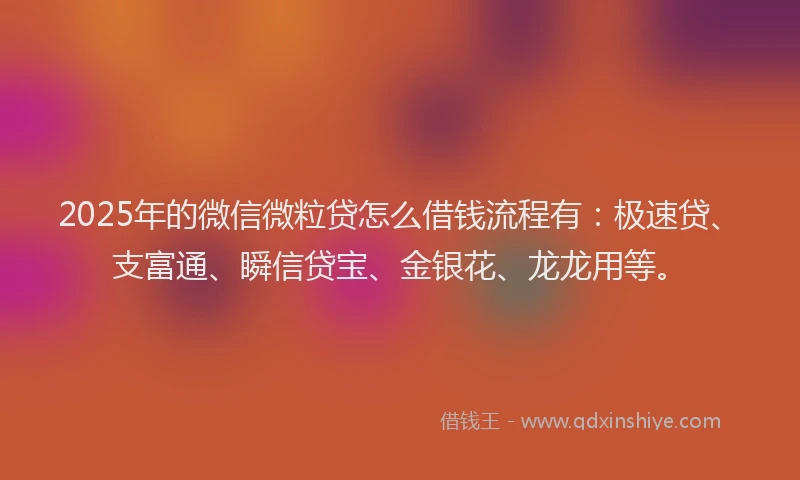 2025年的微信微粒贷怎么借钱流程有：极速贷、支富通、瞬信贷宝、金银花、龙龙用等。