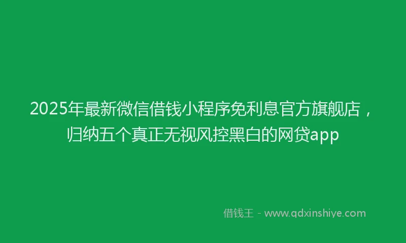 2025年最新微信借钱小程序免利息官方旗舰店，归纳五个真正无视风控黑白的网贷app