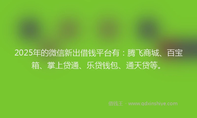 2025年的微信新出借钱平台有：腾飞商城、百宝箱、掌上贷通、乐贷钱包、通天贷等。
