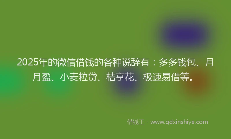 2025年的微信借钱的各种说辞有：多多钱包、月月盈、小麦粒贷、桔享花、极速易借等。
