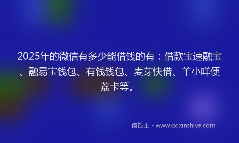 2025年的微信有多少能借钱的有：借款宝速融宝、融易宝钱包、有钱钱包、麦芽快借、羊小咩便荔卡等。