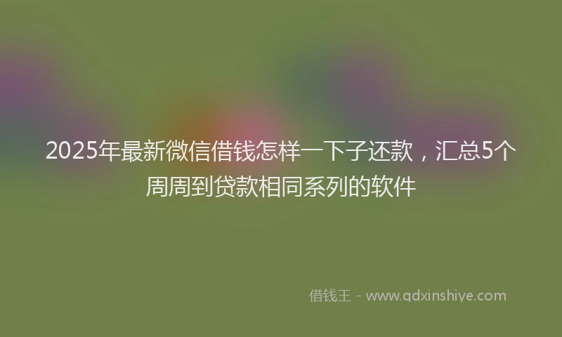 2025年最新微信借钱怎样一下子还款，汇总5个周周到贷款相同系列的软件