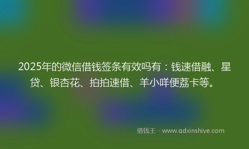 2025年的微信借钱签条有效吗有：钱速借融、星贷、银杏花、拍拍速借、羊小咩便荔卡等。