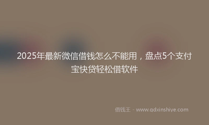 2025年最新微信借钱怎么不能用，盘点5个支付宝快贷轻松借软件