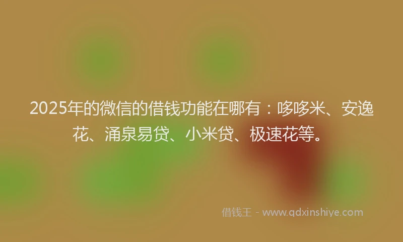 2025年的微信的借钱功能在哪有：哆哆米、安逸花、涌泉易贷、小米贷、极速花等。