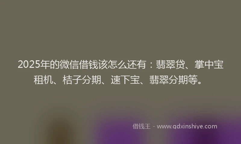 2025年的微信借钱该怎么还有：翡翠贷、掌中宝租机、桔子分期、速下宝、翡翠分期等。
