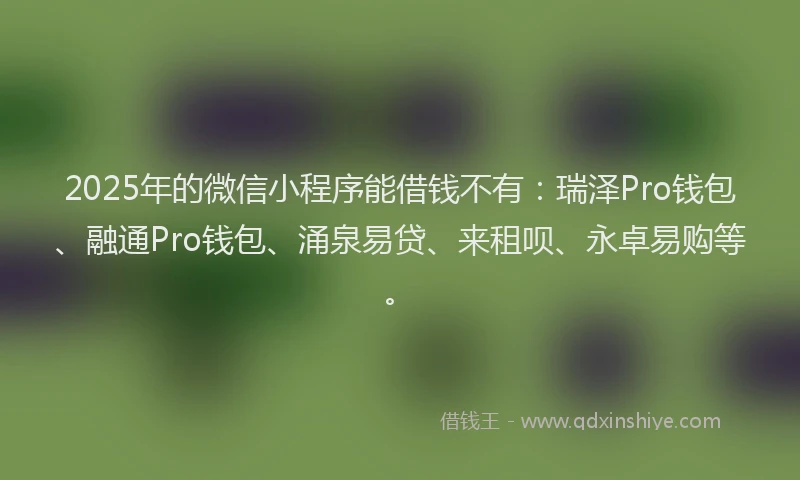 2025年的微信小程序能借钱不有：瑞泽Pro钱包、融通Pro钱包、涌泉易贷、来租呗、永卓易购等。