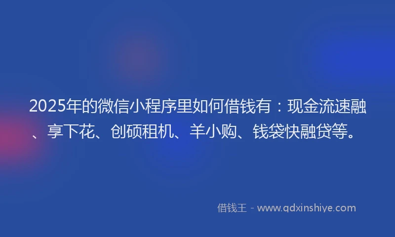 2025年的微信小程序里如何借钱有：现金流速融、享下花、创硕租机、羊小购、钱袋快融贷等。