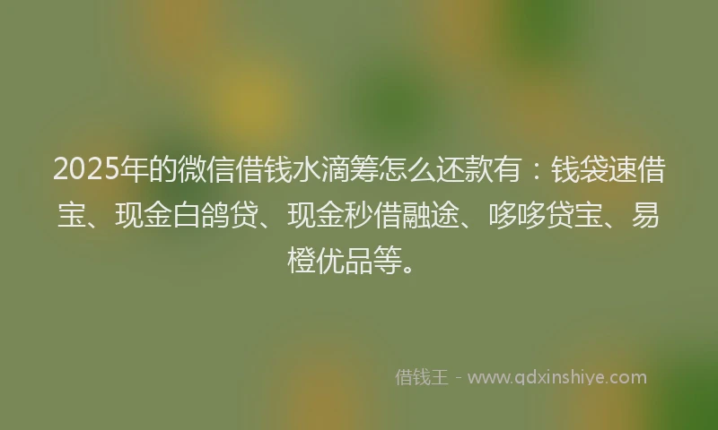 2025年的微信借钱水滴筹怎么还款有：钱袋速借宝、现金白鸽贷、现金秒借融途、哆哆贷宝、易橙优品等。