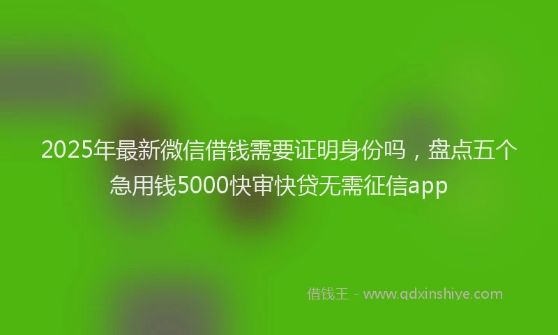 2025年最新微信借钱需要证明身份吗，盘点五个急用钱5000快审快贷无需征信app
