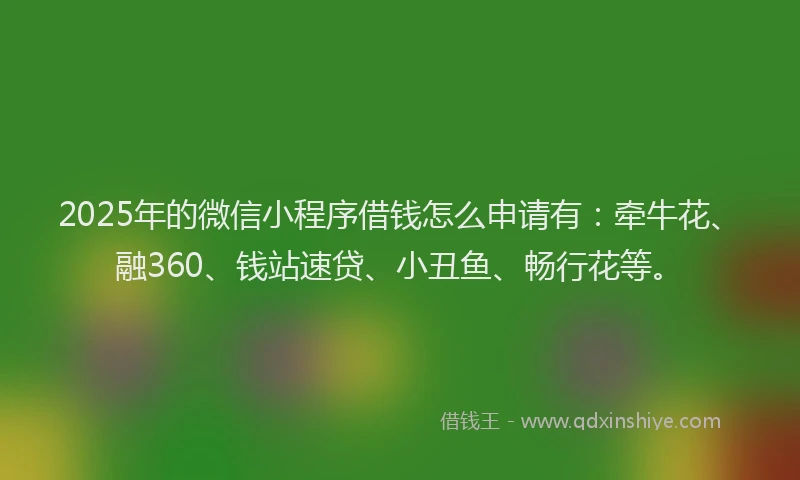 2025年的微信小程序借钱怎么申请有：牵牛花、融360、钱站速贷、小丑鱼、畅行花等。