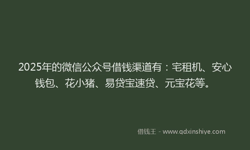 2025年的微信公众号借钱渠道有：宅租机、安心钱包、花小猪、易贷宝速贷、元宝花等。