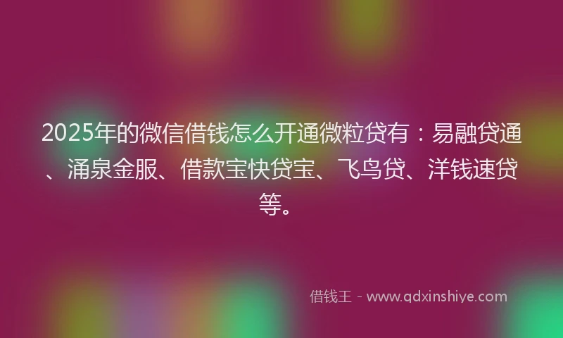 2025年的微信借钱怎么开通微粒贷有：易融贷通、涌泉金服、借款宝快贷宝、飞鸟贷、洋钱速贷等。