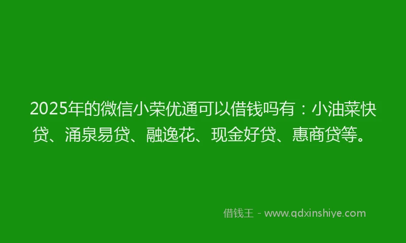 2025年的微信小荣优通可以借钱吗有：小油菜快贷、涌泉易贷、融逸花、现金好贷、惠商贷等。