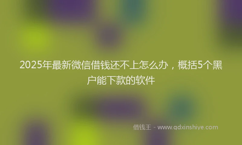 2025年最新微信借钱还不上怎么办，概括5个黑户能下款的软件