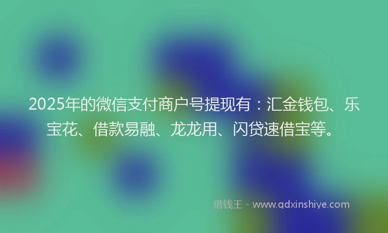 2025年的微信支付商户号提现有：汇金钱包、乐宝花、借款易融、龙龙用、闪贷速借宝等。
