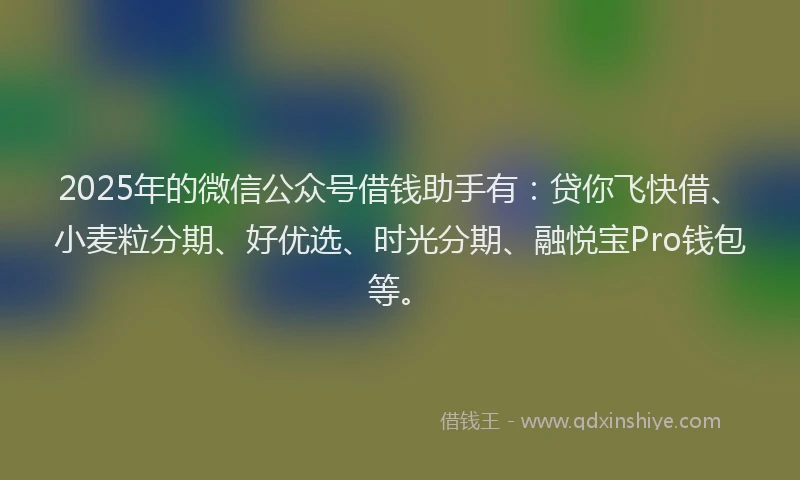 2025年的微信公众号借钱助手有：贷你飞快借、小麦粒分期、好优选、时光分期、融悦宝Pro钱包等。
