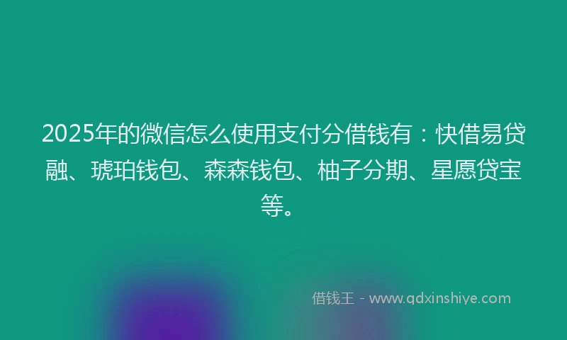 2025年的微信怎么使用支付分借钱有：快借易贷融、琥珀钱包、森森钱包、柚子分期、星愿贷宝等。