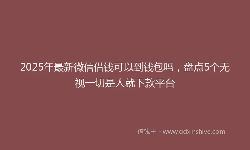 2025年最新微信借钱可以到钱包吗，盘点5个无视一切是人就下款平台