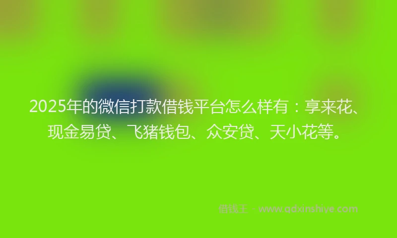 2025年的微信打款借钱平台怎么样有：享来花、现金易贷、飞猪钱包、众安贷、天小花等。