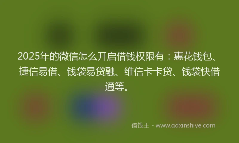2025年的微信怎么开启借钱权限有：惠花钱包、捷信易借、钱袋易贷融、维信卡卡贷、钱袋快借通等。