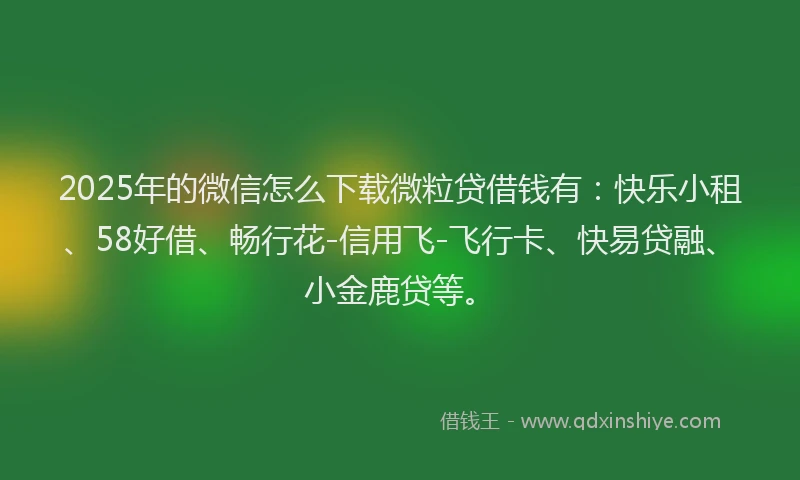 2025年的微信怎么下载微粒贷借钱有：快乐小租、58好借、畅行花-信用飞-飞行卡、快易贷融、小金鹿贷等。