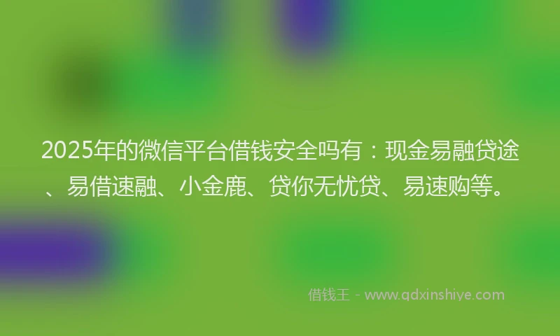 2025年的微信平台借钱安全吗有：现金易融贷途、易借速融、小金鹿、贷你无忧贷、易速购等。