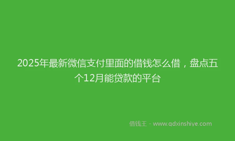 2025年最新微信支付里面的借钱怎么借，盘点五个12月能贷款的平台