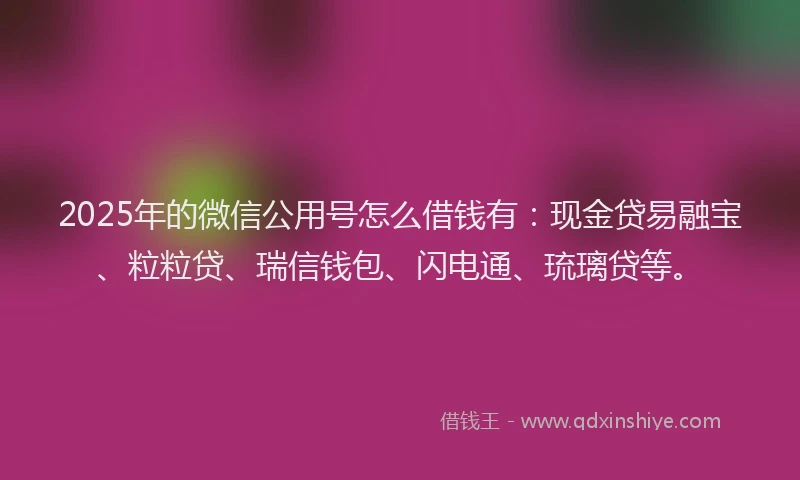 2025年的微信公用号怎么借钱有：现金贷易融宝、粒粒贷、瑞信钱包、闪电通、琉璃贷等。