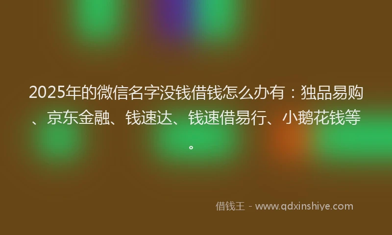 2025年的微信名字没钱借钱怎么办有：独品易购、京东金融、钱速达、钱速借易行、小鹅花钱等。
