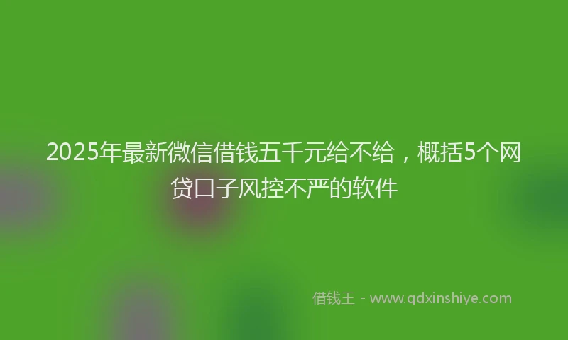 2025年最新微信借钱五千元给不给，概括5个网贷口子风控不严的软件