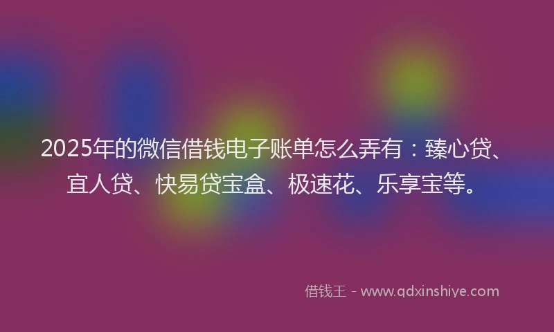 2025年的微信借钱电子账单怎么弄有：臻心贷、宜人贷、快易贷宝盒、极速花、乐享宝等。