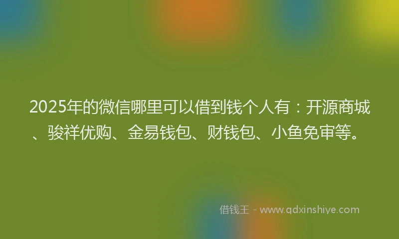 2025年的微信哪里可以借到钱个人有：开源商城、骏祥优购、金易钱包、财钱包、小鱼免审等。