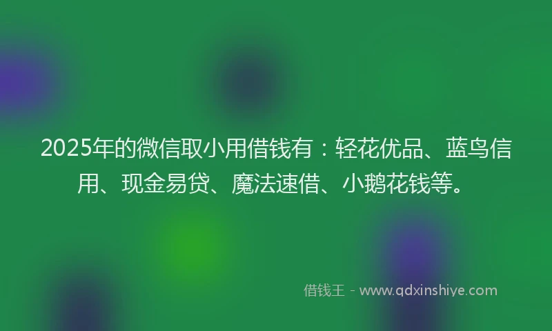 2025年的微信取小用借钱有：轻花优品、蓝鸟信用、现金易贷、魔法速借、小鹅花钱等。
