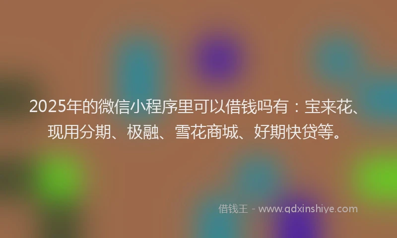 2025年的微信小程序里可以借钱吗有：宝来花、现用分期、极融、雪花商城、好期快贷等。