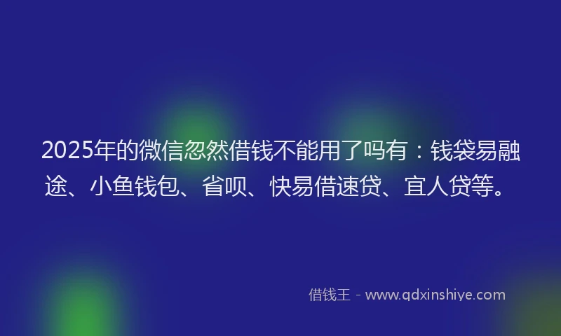 2025年的微信忽然借钱不能用了吗有：钱袋易融途、小鱼钱包、省呗、快易借速贷、宜人贷等。