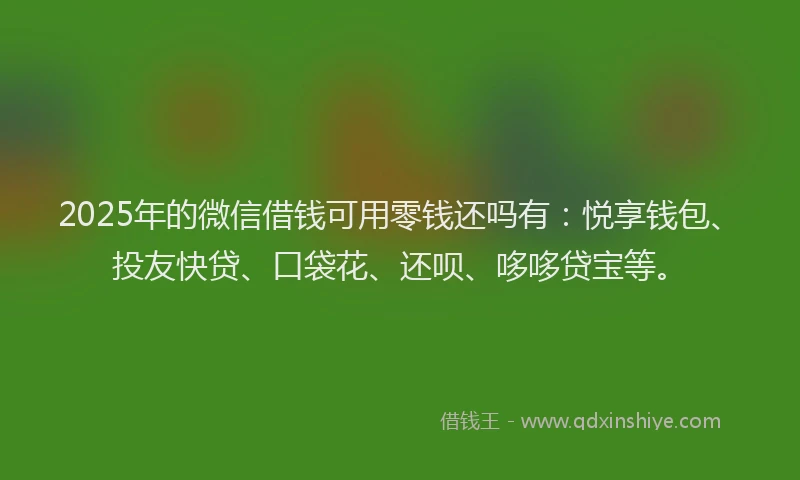 2025年的微信借钱可用零钱还吗有：悦享钱包、投友快贷、口袋花、还呗、哆哆贷宝等。