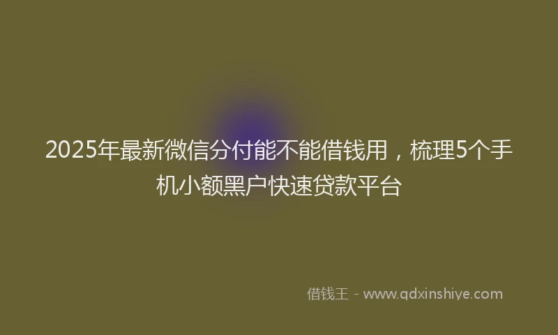 2025年最新微信分付能不能借钱用，梳理5个手机小额黑户快速贷款平台