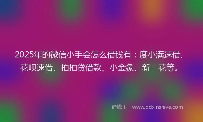 2025年的微信小手会怎么借钱有：度小满速借、花呗速借、拍拍贷借款、小金象、新一花等。
