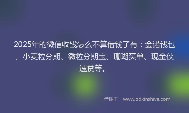 2025年的微信收钱怎么不算借钱了有：金诺钱包、小麦粒分期、微粒分期宝、珊瑚买单、现金侠速贷等。