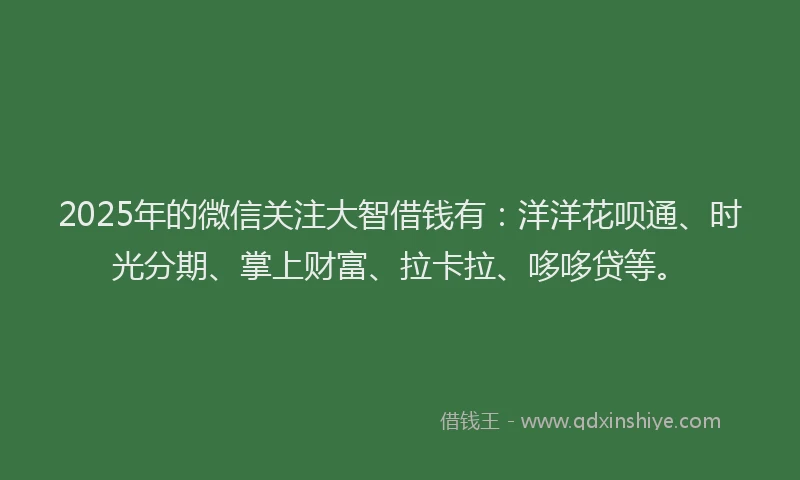 2025年的微信关注大智借钱有：洋洋花呗通、时光分期、掌上财富、拉卡拉、哆哆贷等。