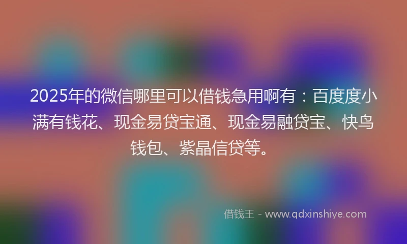 2025年的微信哪里可以借钱急用啊有：百度度小满有钱花、现金易贷宝通、现金易融贷宝、快鸟钱包、紫晶信贷等。