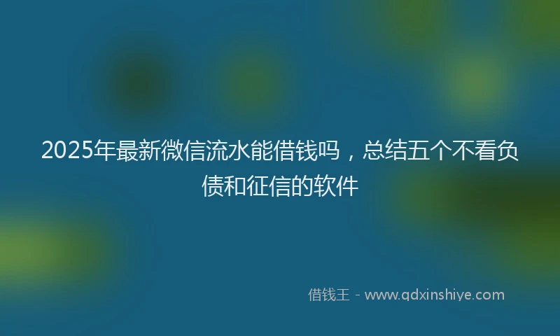 2025年最新微信流水能借钱吗，总结五个不看负债和征信的软件